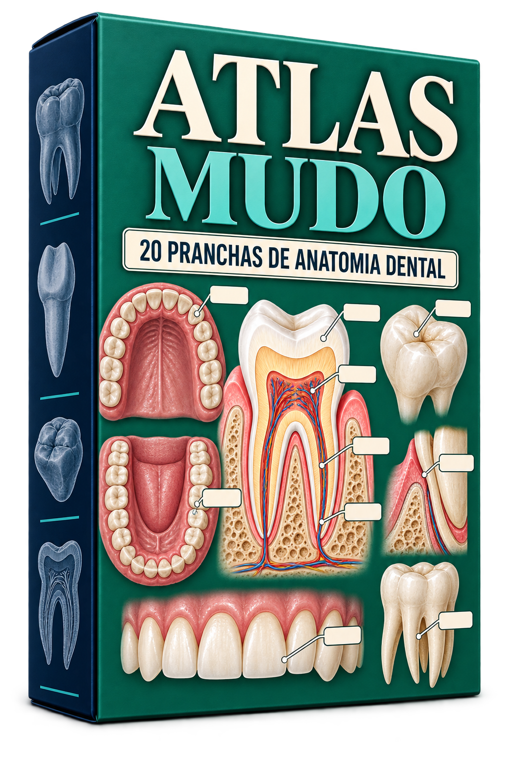 Mockup do Atlas Mudo Dental