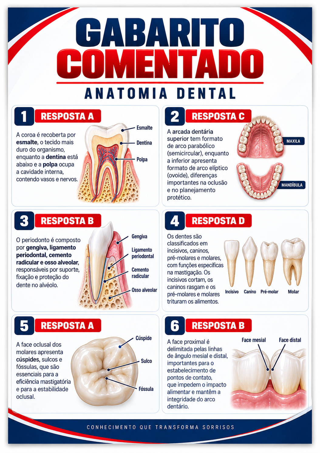 Gabarito do Quiz Odonto