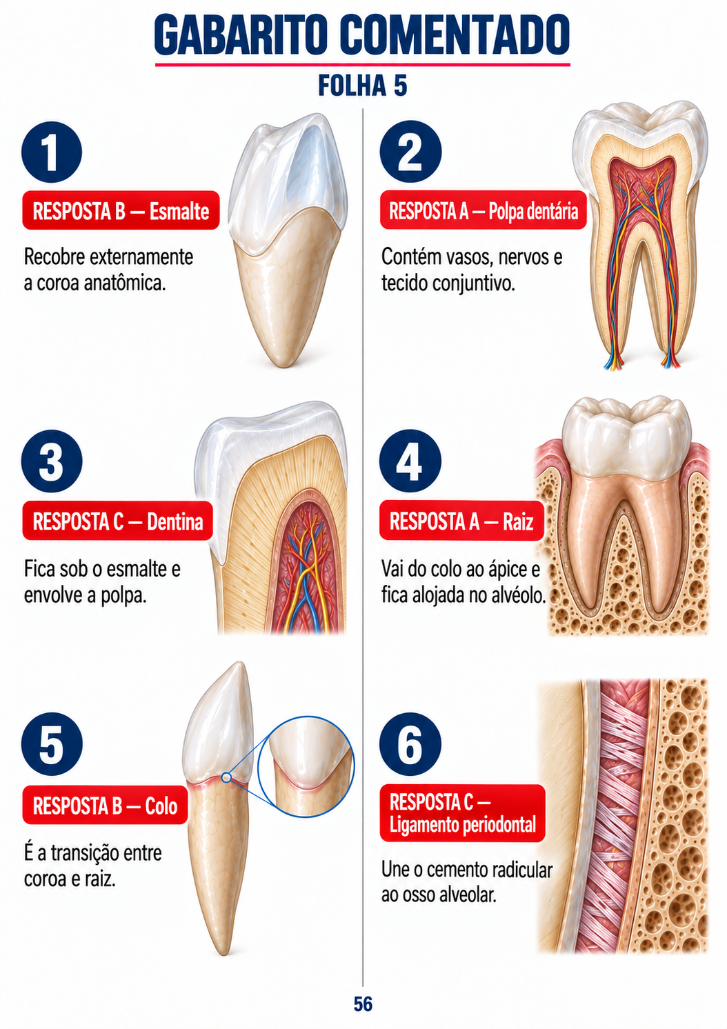 Página real de gabarito do Quiz Odonto