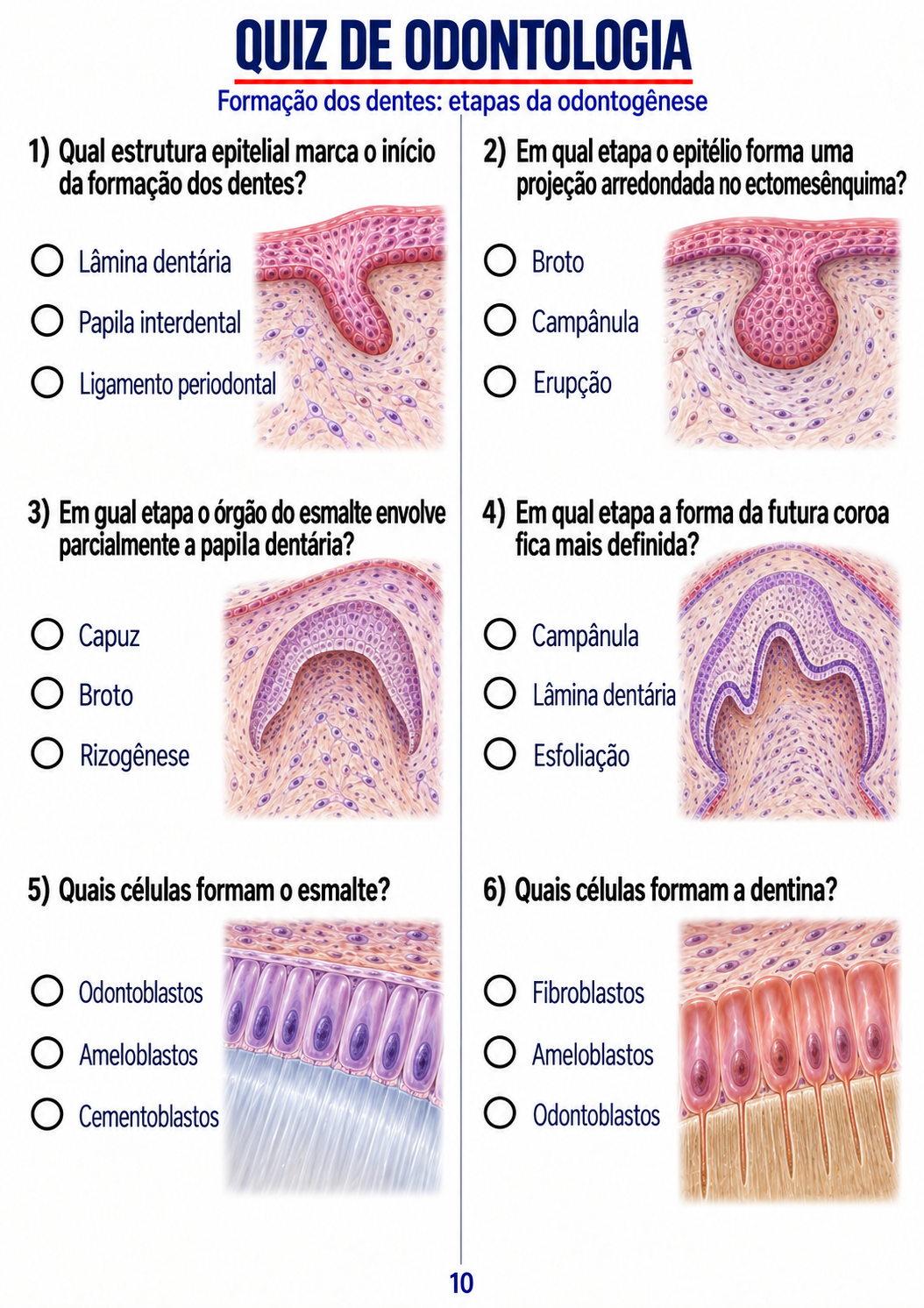 Página real do Quiz Odonto